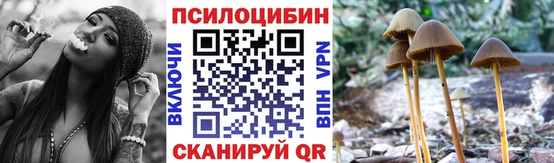 даркнет наркотические препараты  Маркс  Псилоцибиновые грибы Psilocybe  omg маркетплейс 